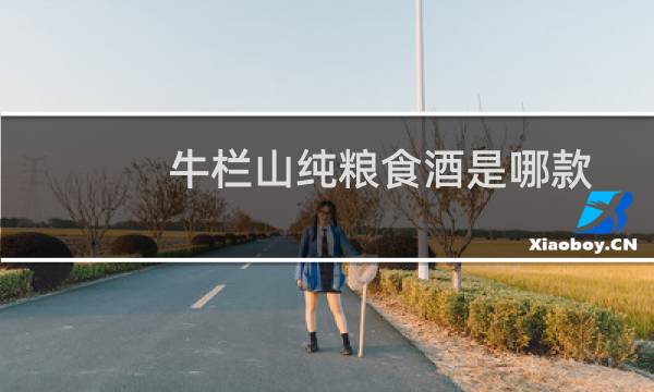 牛栏山纯粮食酒是哪款