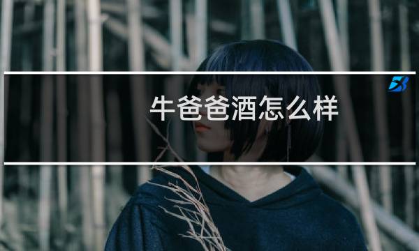 牛爸爸酒怎么样
