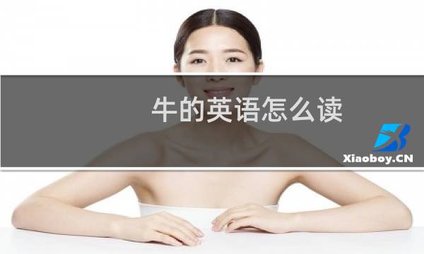 牛的英语怎么读