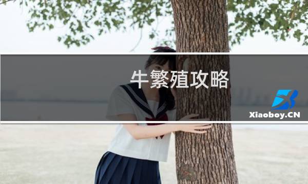 牛繁殖攻略