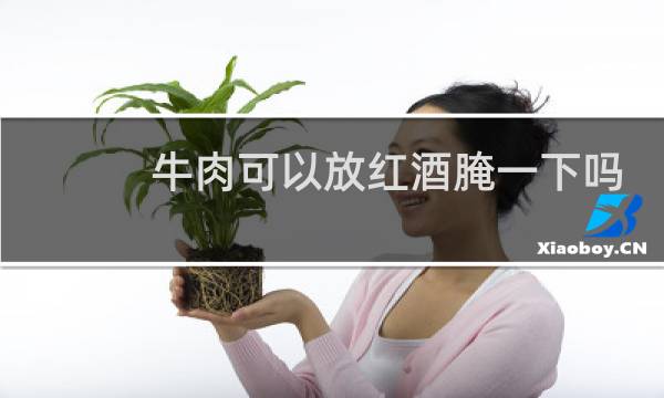 牛肉可以放红酒腌一下吗