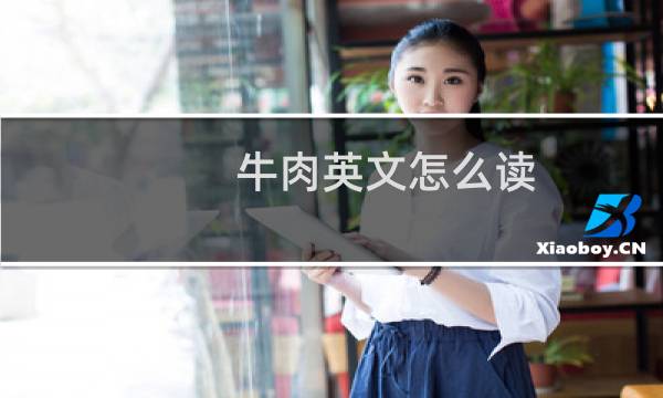 牛肉英文怎么读