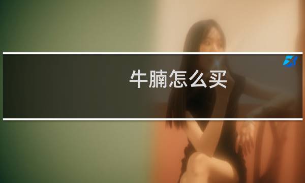 牛腩怎么买