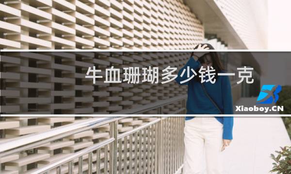 牛血珊瑚多少钱一克