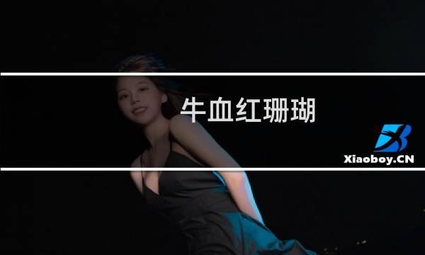 牛血红珊瑚 价格