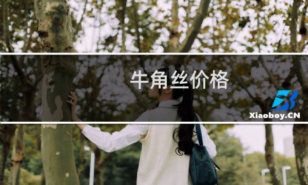 牛角丝价格