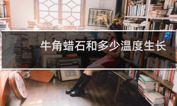 牛角蜡石和多少温度生长