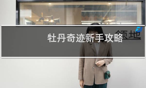 牡丹奇迹新手攻略
