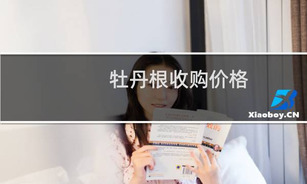 牡丹根收购价格