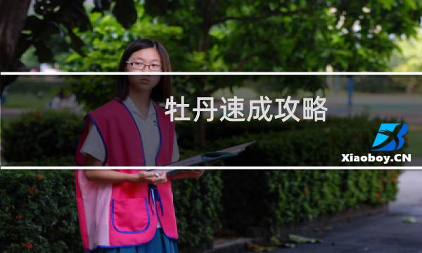 牡丹速成攻略