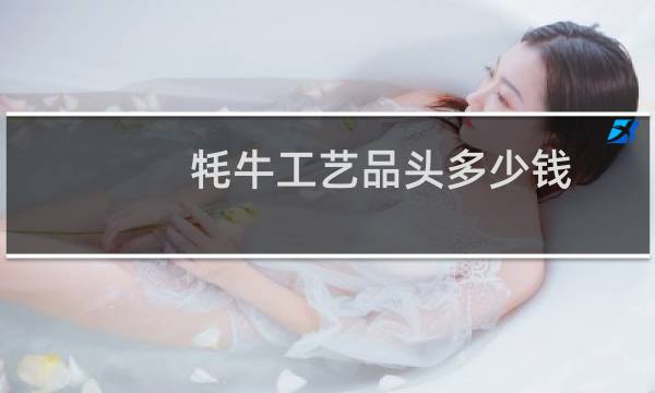 牦牛工艺品头多少钱