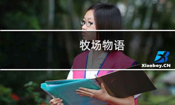 牧场物语 风之集市攻略