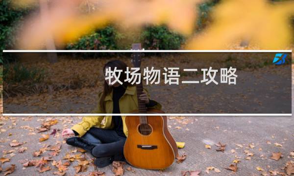 牧场物语二攻略