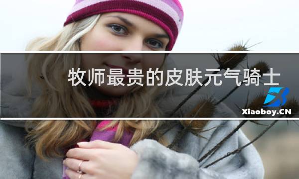 牧师最贵的皮肤元气骑士