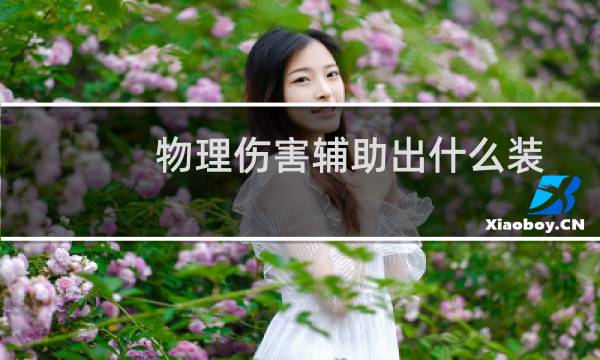 物理伤害辅助出什么装
