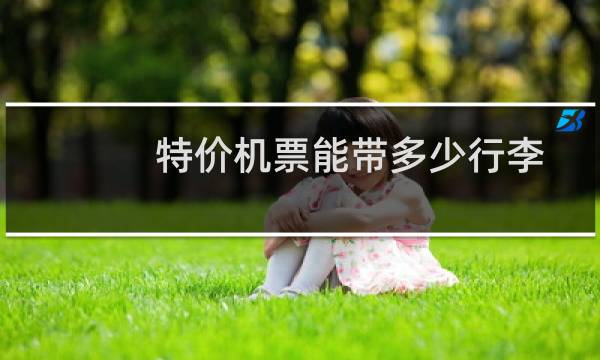 特价机票能带多少行李