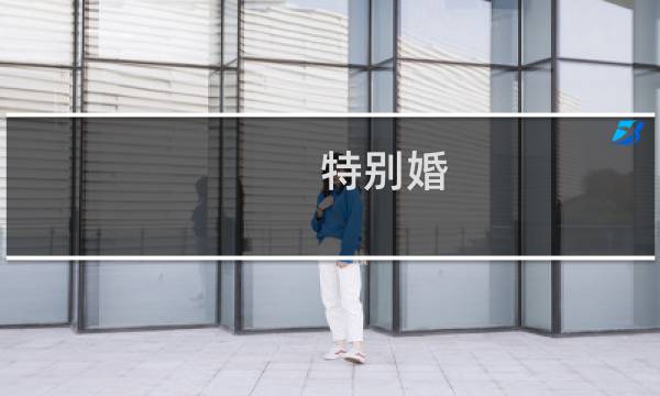 特别婚 攻略