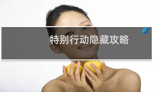 特别行动隐藏攻略