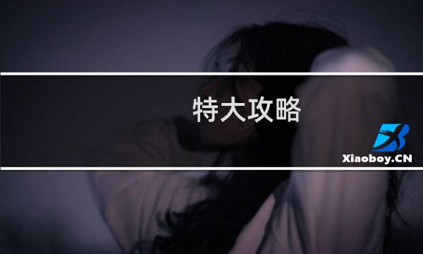 特大攻略