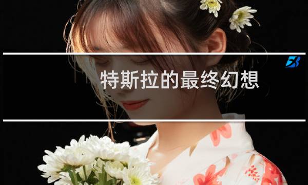 特斯拉的最终幻想