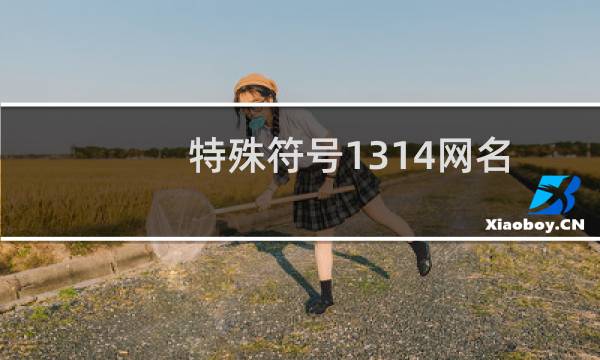 特殊符号1314网名