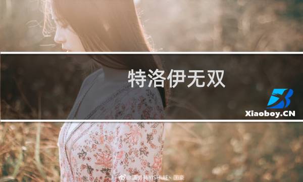 特洛伊无双 攻略