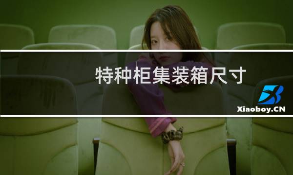 特种柜集装箱尺寸