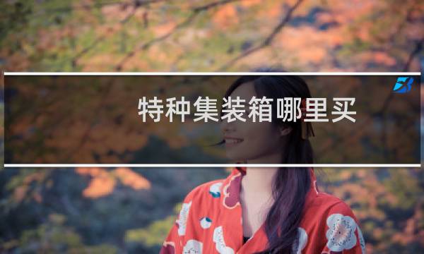 特种集装箱哪里买