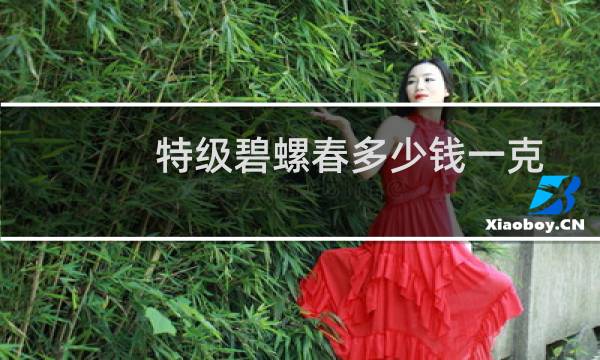 特级碧螺春多少钱一克