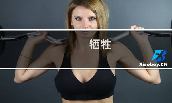 牺牲 攻略