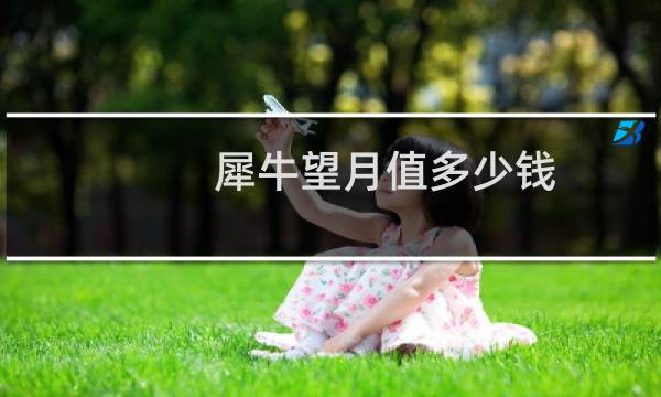 犀牛望月值多少钱