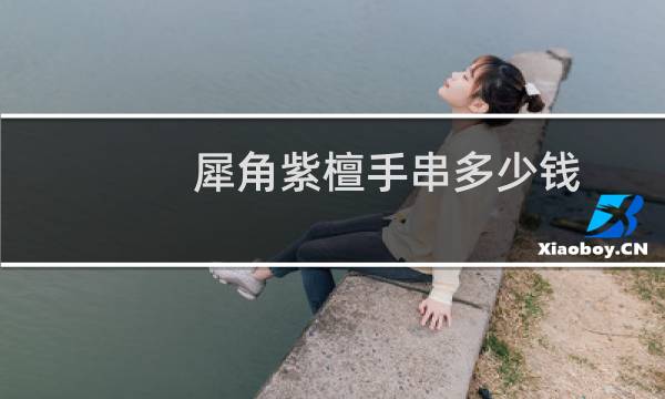 犀角紫檀手串多少钱