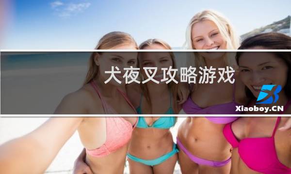犬夜叉攻略游戏