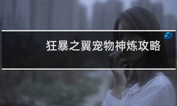 狂暴之翼宠物神炼攻略