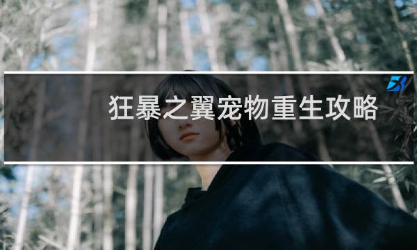 狂暴之翼宠物重生攻略