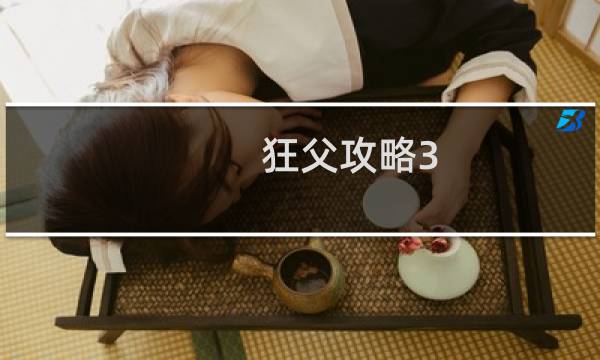 狂父攻略3
