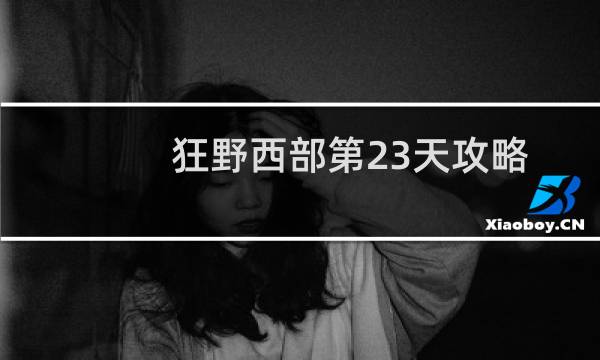 狂野西部第23天攻略
