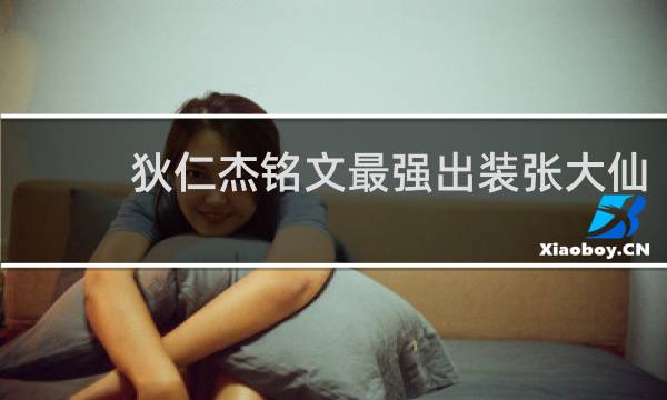狄仁杰铭文最强出装张大仙