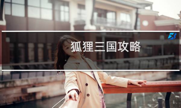 狐狸三国攻略