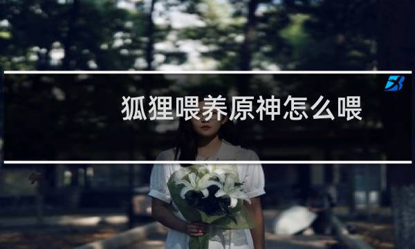 狐狸喂养原神怎么喂