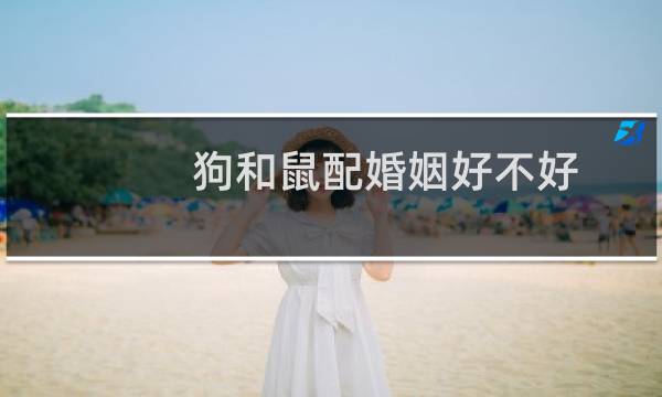狗和鼠配婚姻好不好