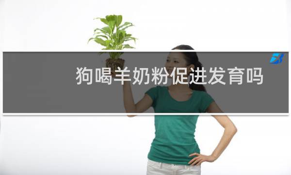 狗喝羊奶粉促进发育吗
