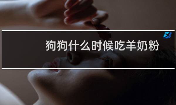 狗狗什么时候吃羊奶粉