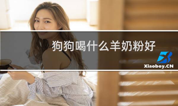 狗狗喝什么羊奶粉好