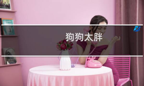 狗狗太胖 还能吃羊奶粉吗