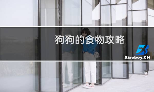 狗狗的食物攻略