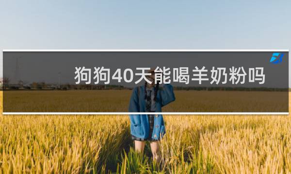 狗狗40天能喝羊奶粉吗