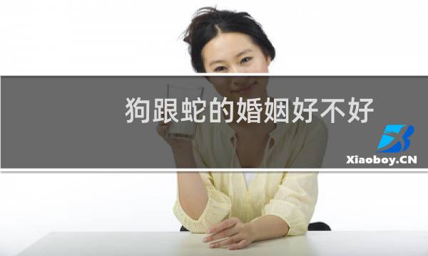狗跟蛇的婚姻好不好