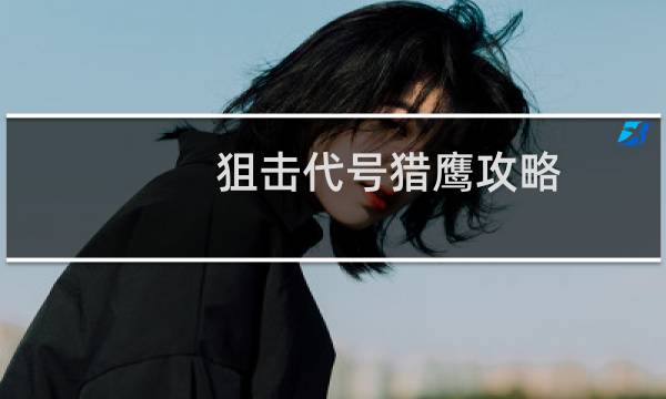 狙击代号猎鹰攻略
