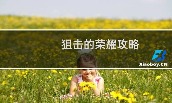 狙击的荣耀攻略